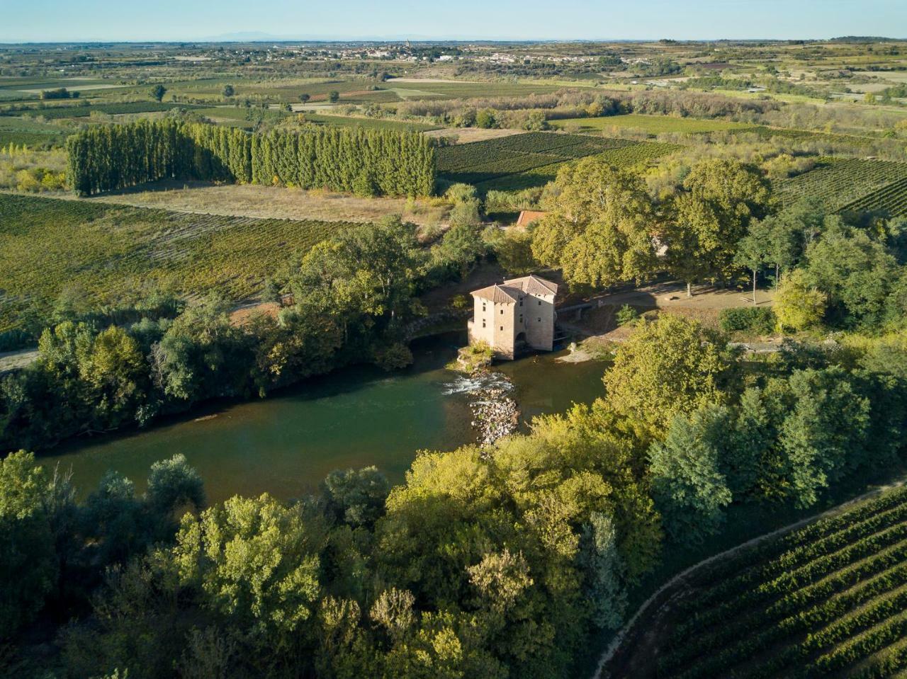 Villa Le Moulin de Pézenas - Pierres d'Histoire Exterior foto